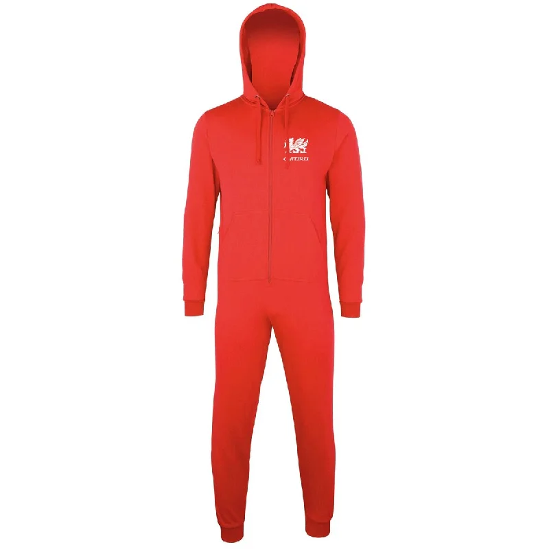 Welsh Dragon - Onesie/ Hoodie Oversized Hoodie Comfort Casual